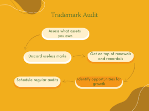 Picture Idea: Trademark Portfolio Management
