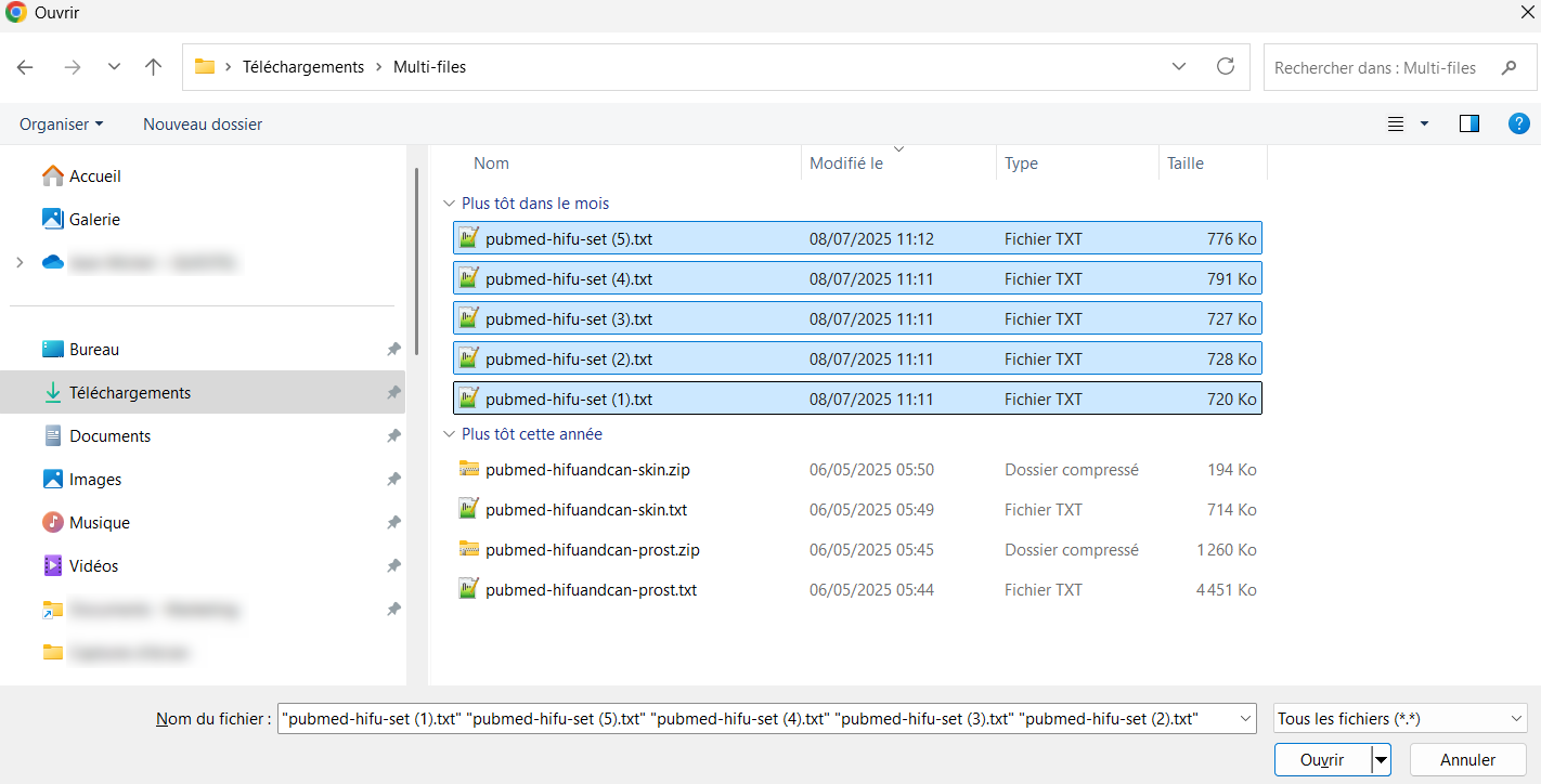 Multifiles 01.png