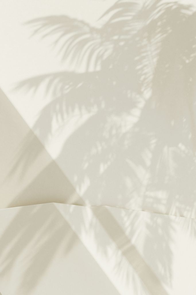 Not all patent translation firms are created equal, shadow of plant