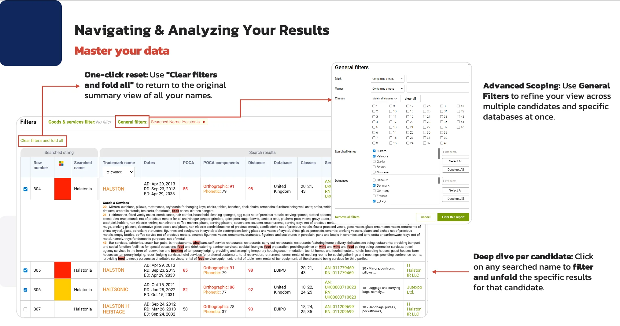 screenshot-bulk-trademark-search-webinar-analyze-2.webp